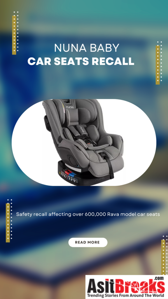 Nuna Baby Car Seats Recall